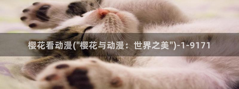 新妹魔王的契约者樱花动漫