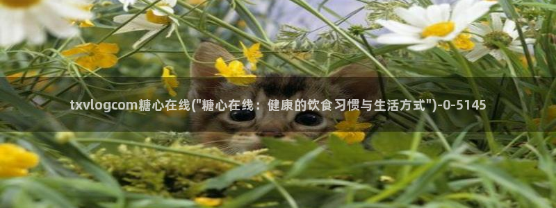 糖心vlog白菜妹妹