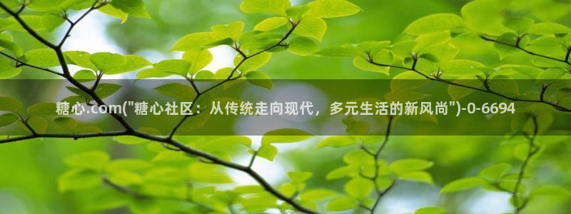 糖心vlog免费高清观看