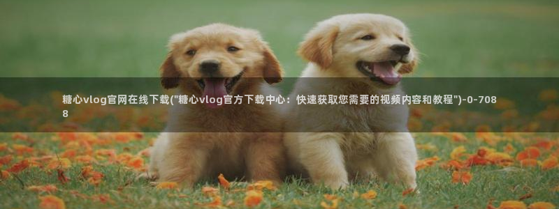 唐伯虎糖心vlog高三