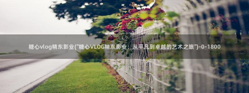 寸止挑战糖心vlog