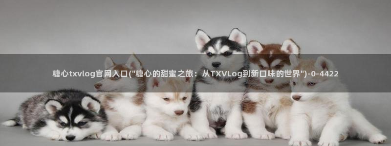 糖心vlog软件下载