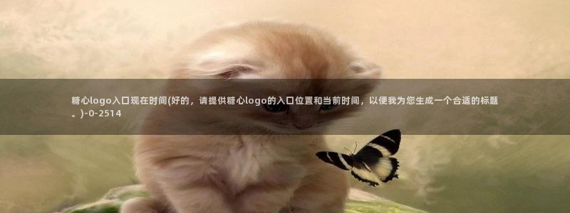 糖心vlog是干什么的
