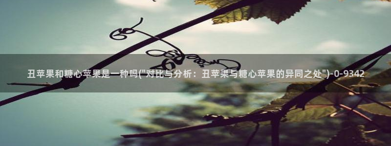 tx糖心vlog
