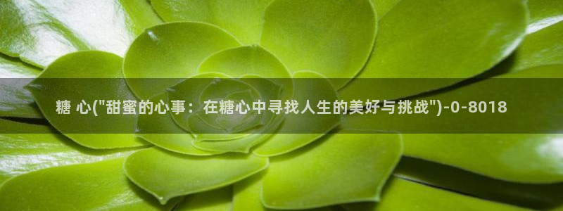糖心vlog 星辰