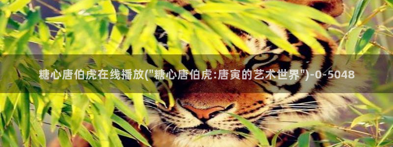 糖心vlog免费看