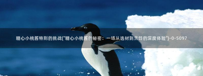 心糖vlog视频在线观看