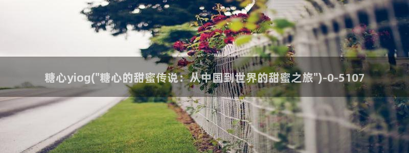 心糖vlog免费版