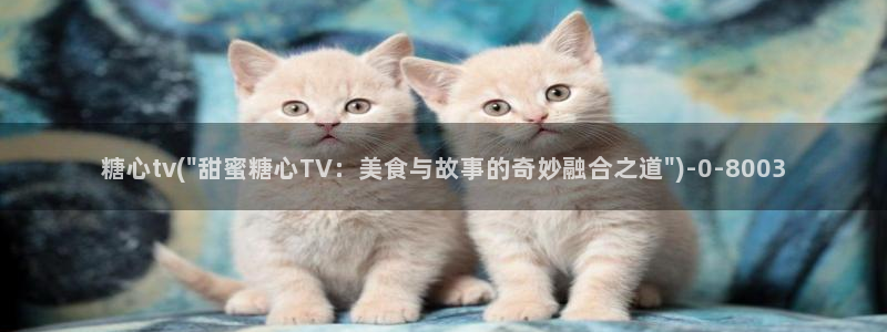 糖心vlog网页版免费观看